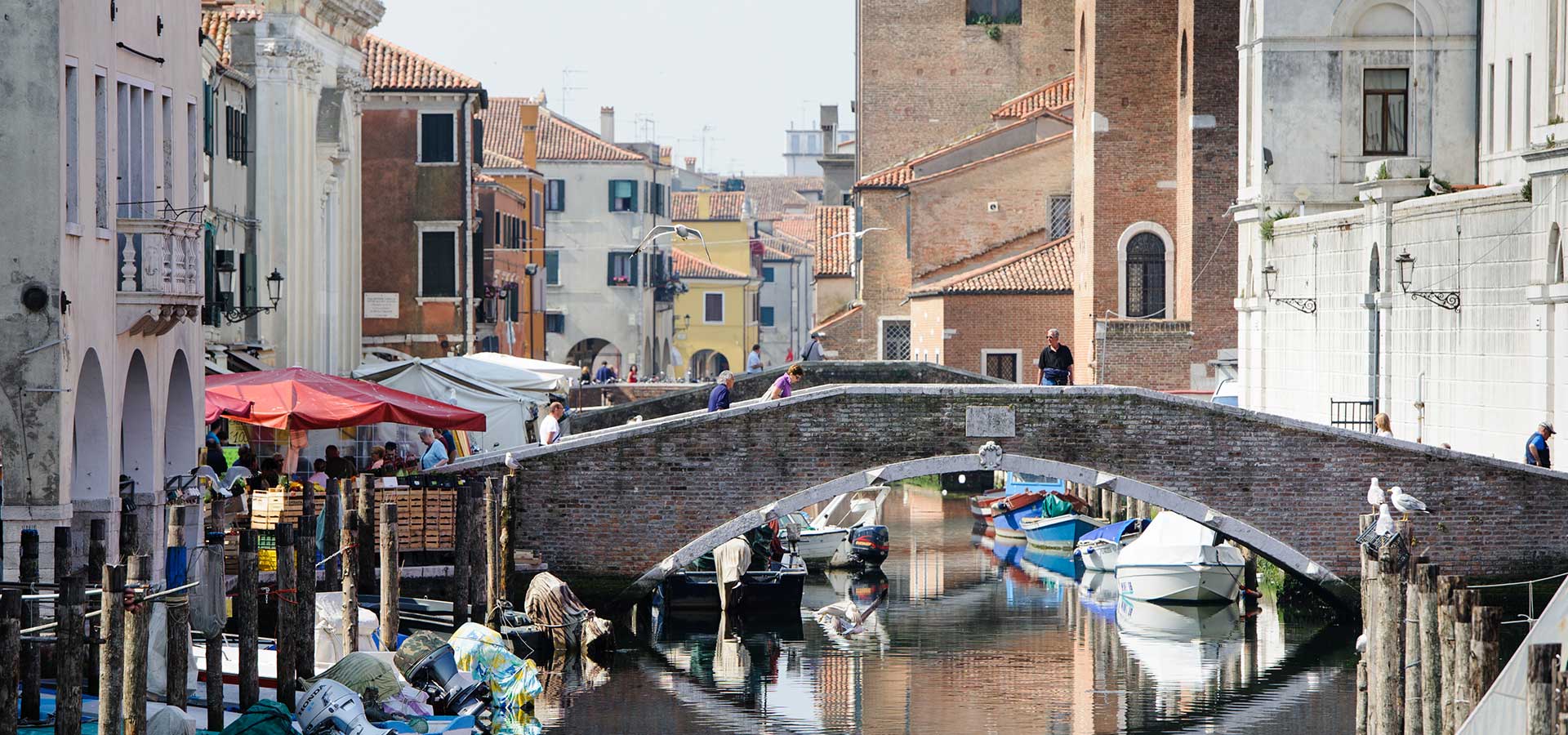 Chioggia